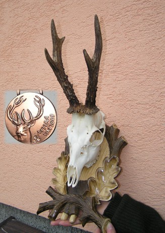 Bronzová medaile 2009 (St.Požár)